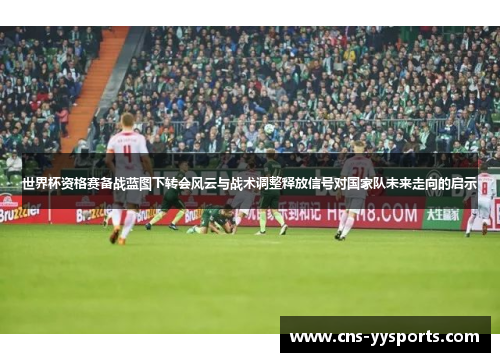 世界杯资格赛备战蓝图下转会风云与战术调整释放信号对国家队未来走向的启示