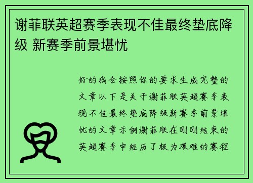 谢菲联英超赛季表现不佳最终垫底降级 新赛季前景堪忧 谢菲联英超赛季表现不佳最终垫底降级 新赛季前景堪忧